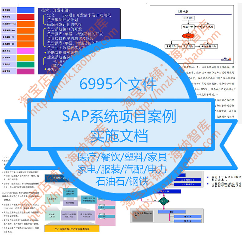 sap系统项目案例实施文档准备设计管理开发电力食品家电医.
